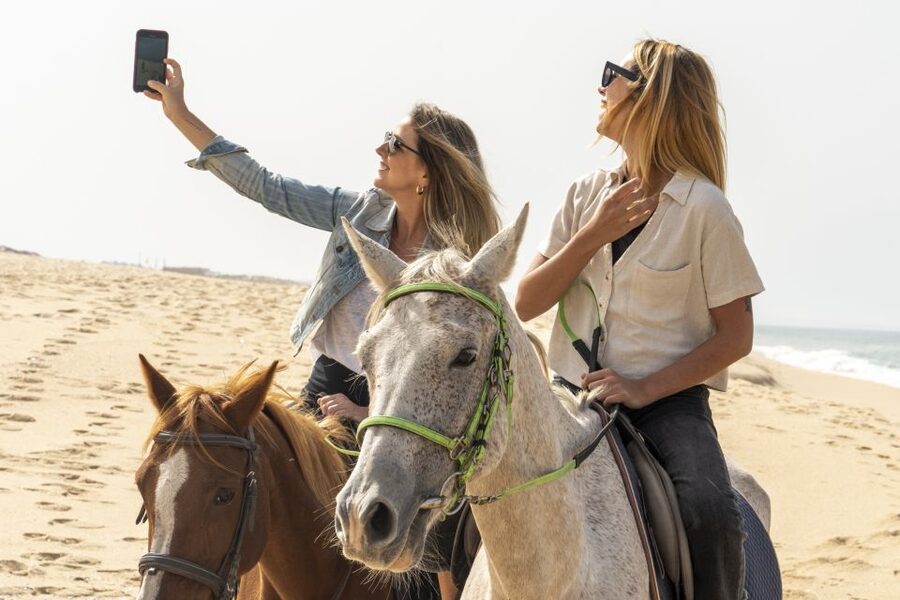 From Lisbon: Comporta and Setúbal Trip with Horseback Riding - Setúbal and the Mercado do Livramento