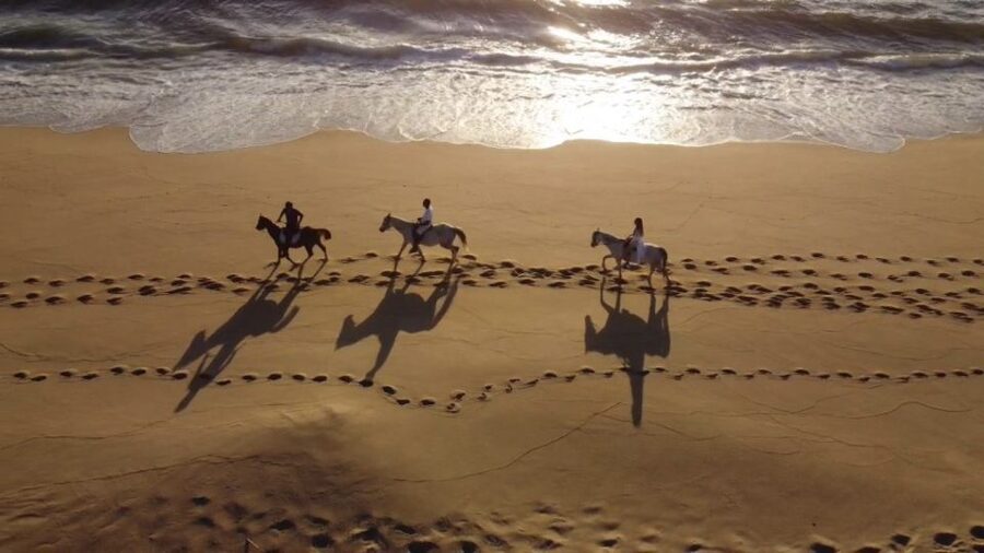 From Lisbon: Horseback Riding on Comporta Beach - Leaving Lisbon for Comporta Nature Reserve