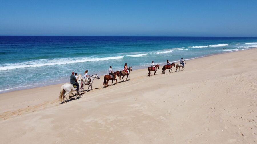 From Lisbon: Horseback Riding on Comporta Beach - How Beginner-Friendly Is the Ride?