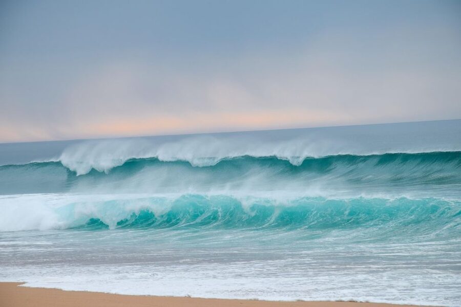 From Lisbon: Horseback Riding on Comporta Beach - Photos, Video, and Extra Costs