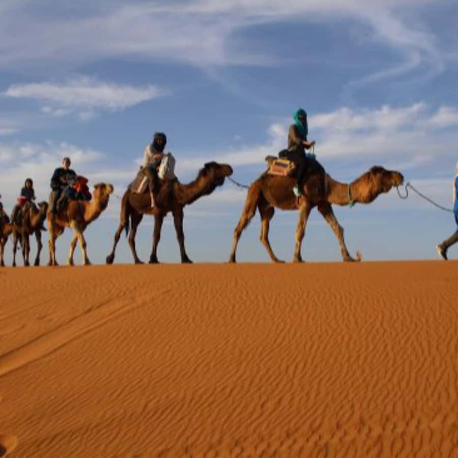 From Marrakech: Agafay Desert Horse ride with sunset - Language support and the role of the driver