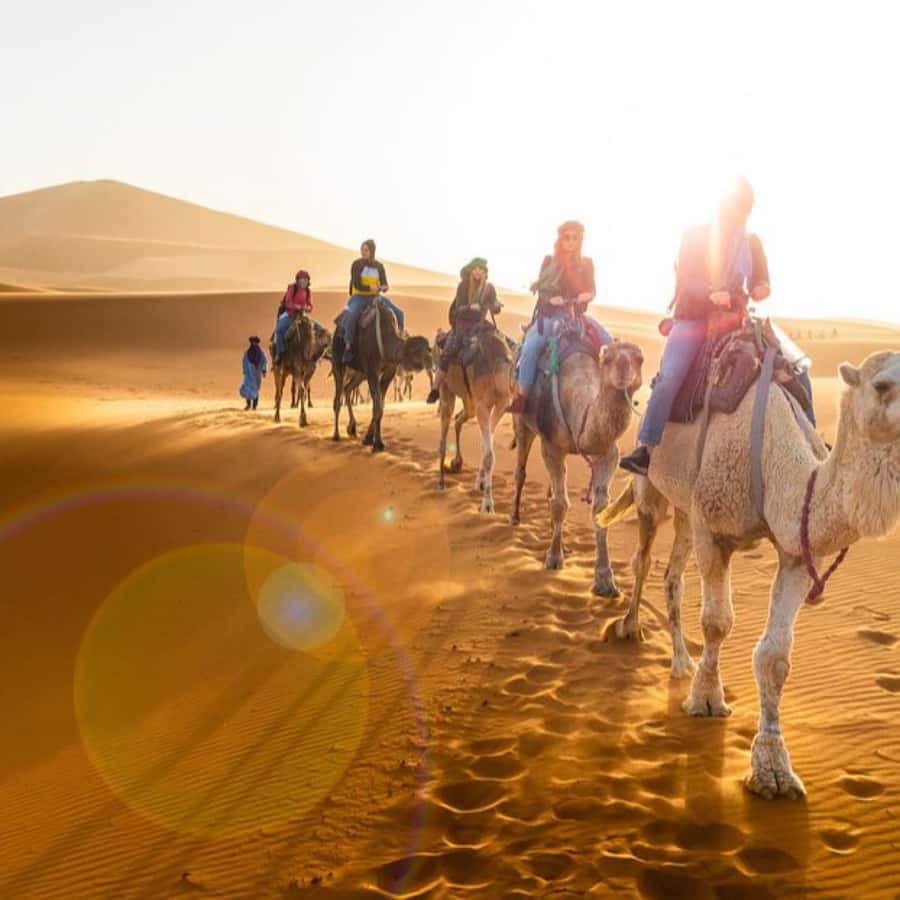 From Marrakech: Agafay Desert Horse ride with sunset - Who will enjoy this Agafay outing?