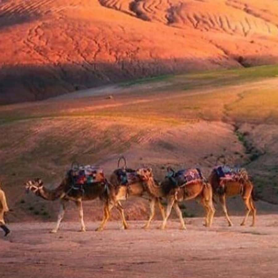 From Marrakech: Agafay Desert Horse ride with sunset - Is the Agafay sunset ride worth booking?