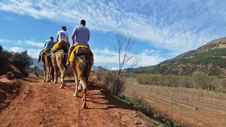 From Marrakech: Atlas Mountains 45-Minute Horseback Ride - Riding Above the Asni Valley
