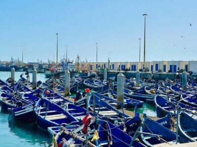 Essaouira day Trip with camel, horse & quad