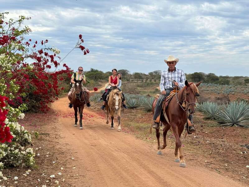 From Mazatlan: ATV & Horse Back riding with Tequila Tasting - Beach, agave fields, and the wooden bridge
