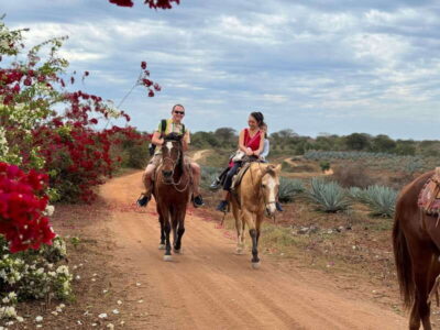 From Mazatlan: ATV & Horse Back riding with Tequila Tasting
