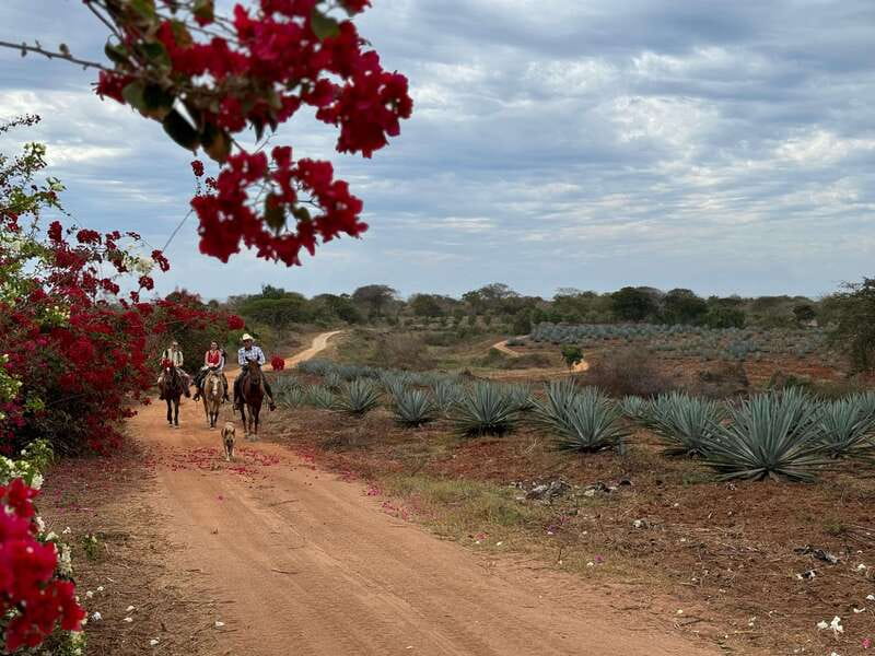 From Mazatlan: ATV & Horse Back riding with Tequila Tasting - A lunch worth building the day around