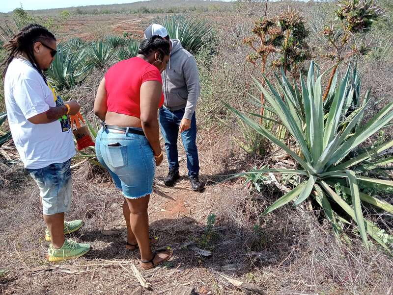 From Mazatlan: ATV & Horse Back riding with Tequila Tasting - Mezcal factory and tasting