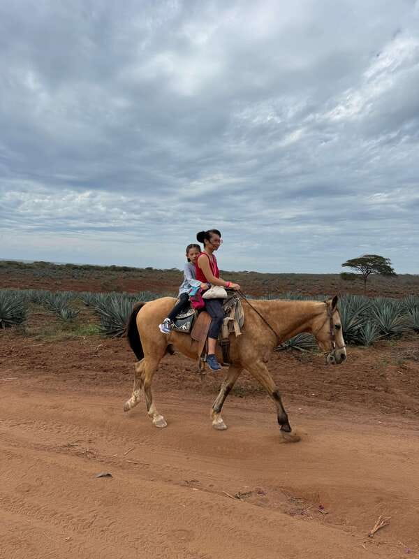 From Mazatlan: ATV & Horse Back riding with Tequila Tasting - What $210 includes, and where the value sits
