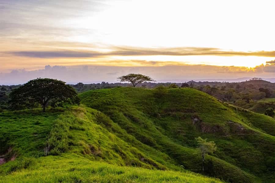 From Medellin; (All-In) The Real Horseback Ranch Experience - Key points before you book