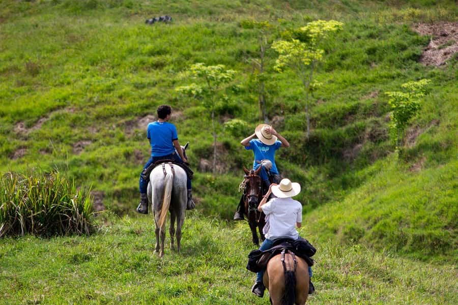 From Medellin; (All-In) The Real Horseback Ranch Experience - A family-run day with a personal feel