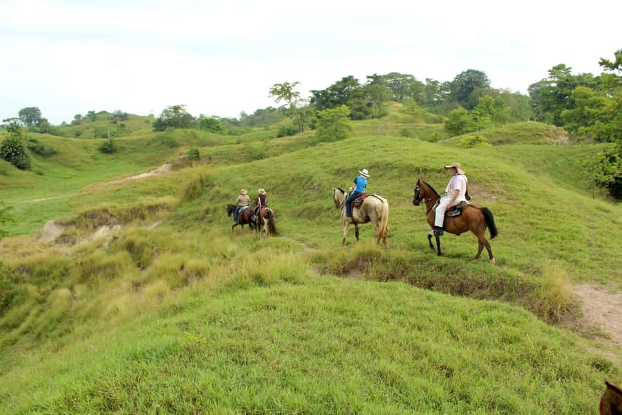 From Medellin; (All-In) The Real Horseback Ranch Experience - The second ride and the more adventurous option