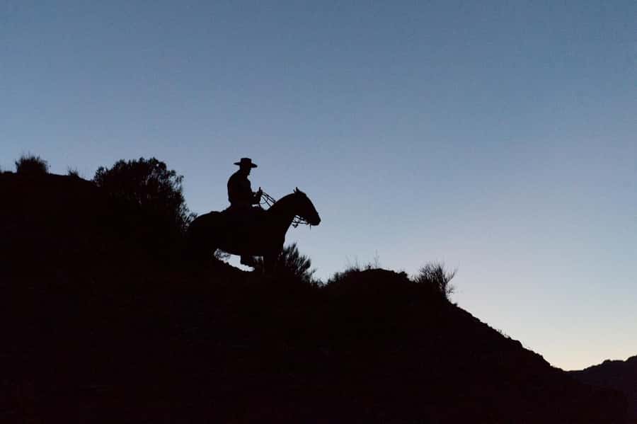 From Mendoza: Sunset Horseback Ride and Asado in the Andes - Who should book this six-hour outing
