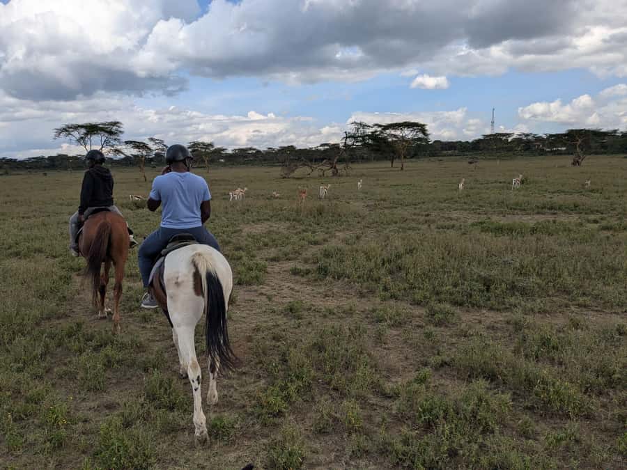 From Nairobi: Horseback Wildlife Safari with Transfer & Meal - Leaving Nairobi for the Open Plains