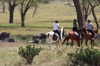 From Nairobi: Horseback Wildlife Safari with Transfer & Meal