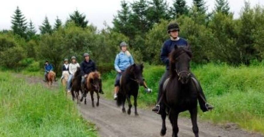 From Reykjavik: Full-Day Horse Riding & Golden Circle Tour - Two hours with an Icelandic horse