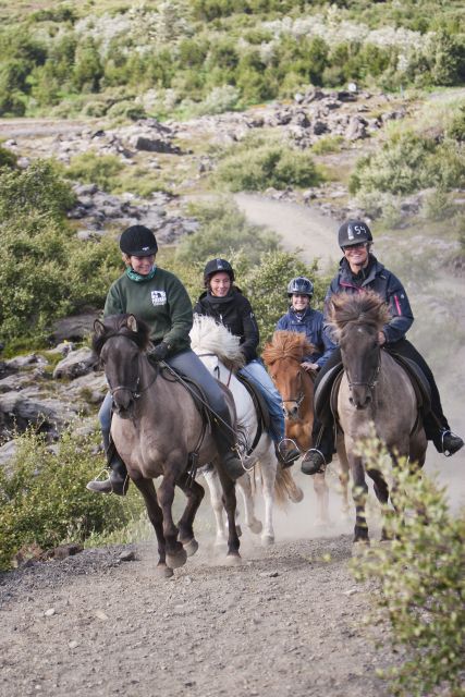 From Reykjavík: Viking Horseback Tour in Hafnarfjörður - Key points before you book