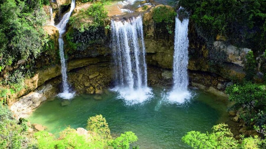 From Samaná: El Limón Waterfall Horseback Ride with Lunch - Riding Through the Samaná Tropical Forest