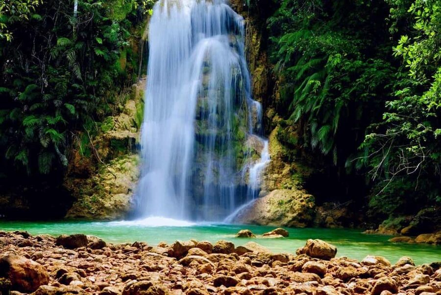 From Samaná: El Limón Waterfall Horseback Ride with Lunch - Meeting the Horses and Starting the Ride