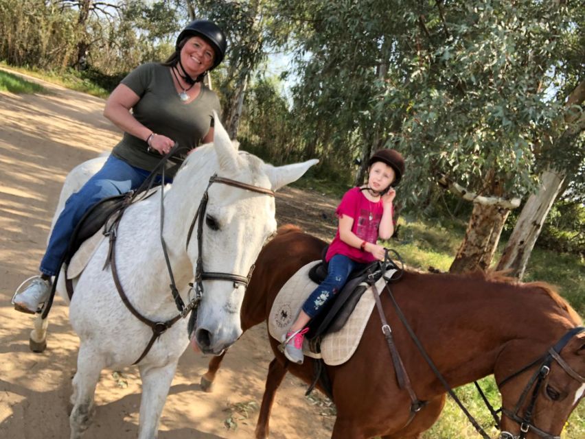 From Seville: Andalusian Horseback Ride - Should You Book the Andalusian Horseback Ride?