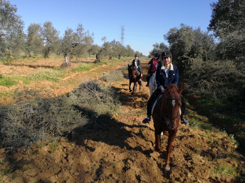 From Seville: Andalusian Horseback Ride - Leaving Seville for the Bollullos Countryside