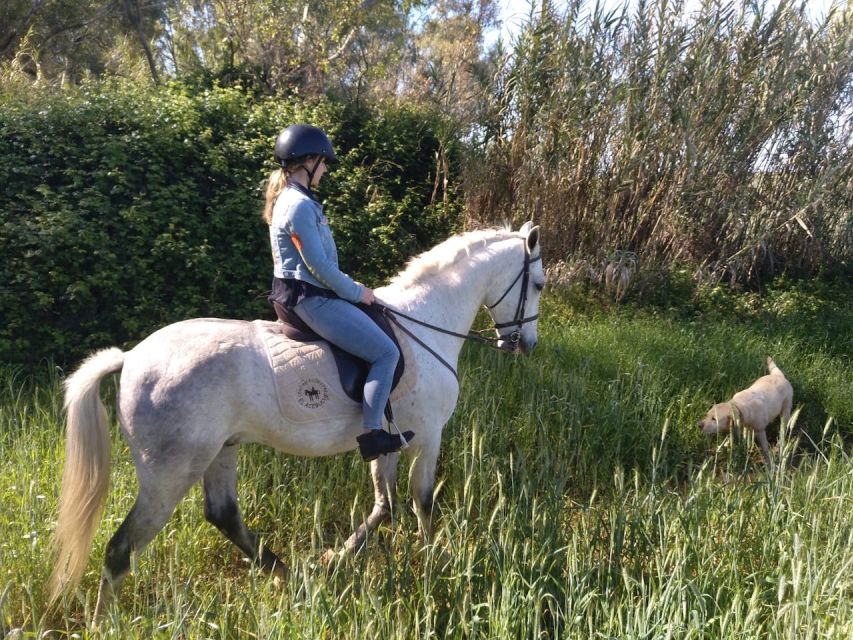 From Seville: Andalusian Horseback Ride - What the Riding Equipment Feels Like