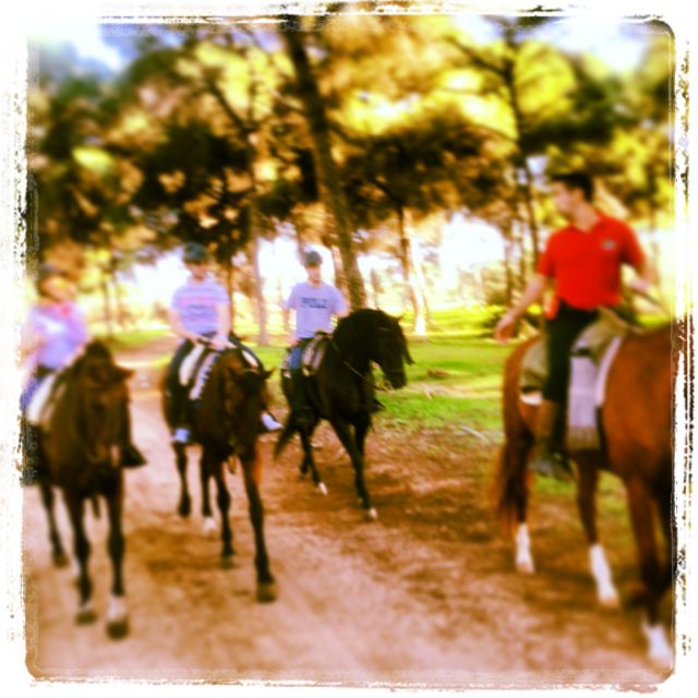 From Seville: Andalusian Horseback Ride - The Value of $164 Per Person