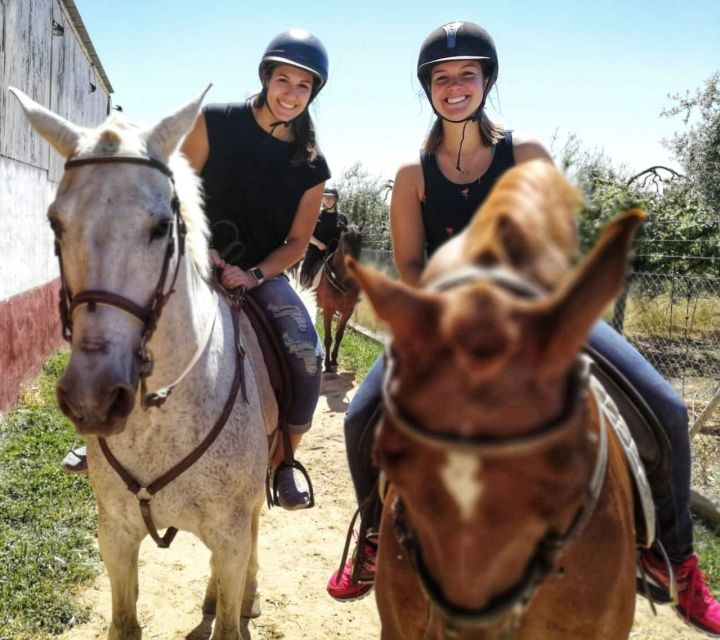 From Seville: Andalusian Horseback Ride - What to Bring and What Not to Expect