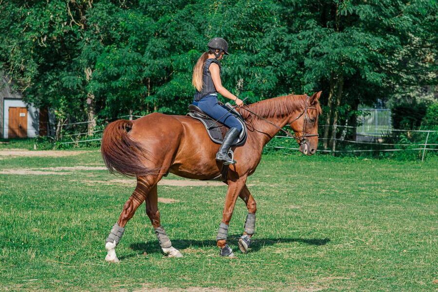 From Seville: Andalusian Horseback Ride - Who Should Book This Ride?