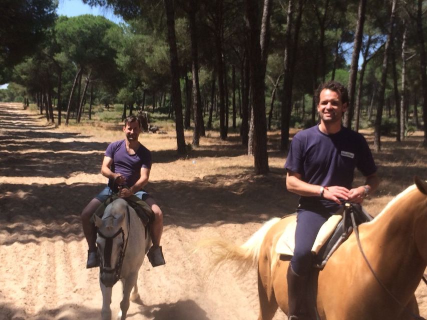 From Seville: Horseback Riding Experience in Aljarafe - Why this ride makes sense after Seville sightseeing