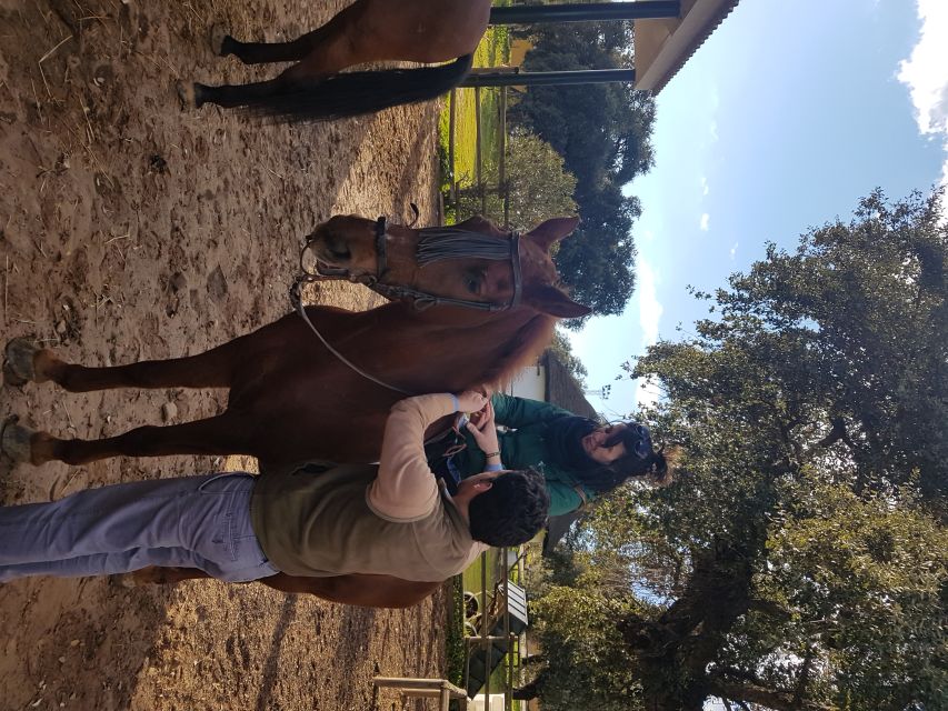 From Seville: Horseback Riding Experience in Aljarafe - Riding an Andalusian horse through the countryside