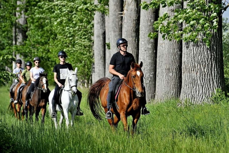 From Split: Full-Day Horse Riding & Quad Biking with Lunch - Should you book the Ogorje and Dinara adventure?