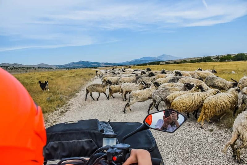 From Split: Full-Day Horse Riding & Quad Biking with Lunch - The 50-minute ride inland from Split