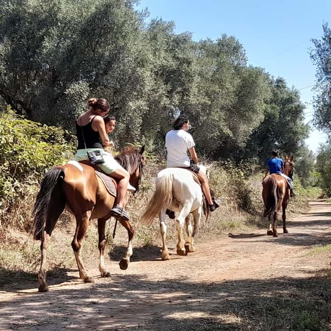 From Tropea: Horseback Riding Tour with Picnic in Francica - Who will enjoy this ride most?