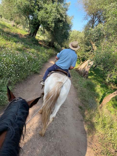From Tropea: Horseback Riding Tour with Picnic in Francica - Is $77 a fair price?