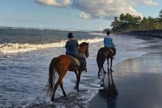 From Ubud 1 Hour Horse Riding at The Beach Experiences - Private Tour, Group Discount, and Overall Value