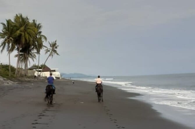 From Ubud 1 Hour Horse Riding at The Beach Experiences - One Hour Along the Sandy Coast