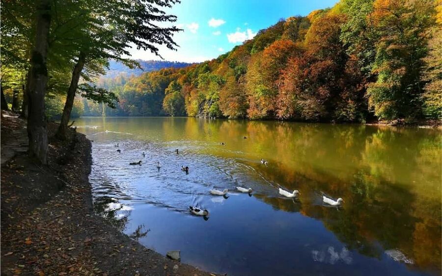 From Yerevan: Off-Road and Horseback Riding Adventure Tour - Lake Parz: a quiet stop with an optional zipline