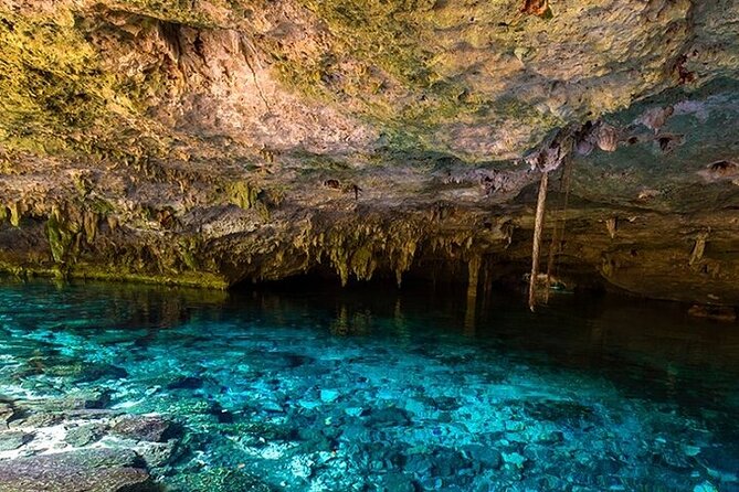Full Day Adventure: Horses , ATV, Ziplines & Cenote w/Lunch - Zip lines high above the trees