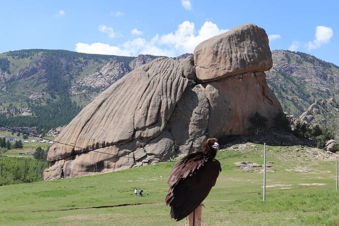 Full Day Chinggis Khaan Statue & Terelj NP Tour +Horseride, Eagle - One hour on horseback in the Terelj valley