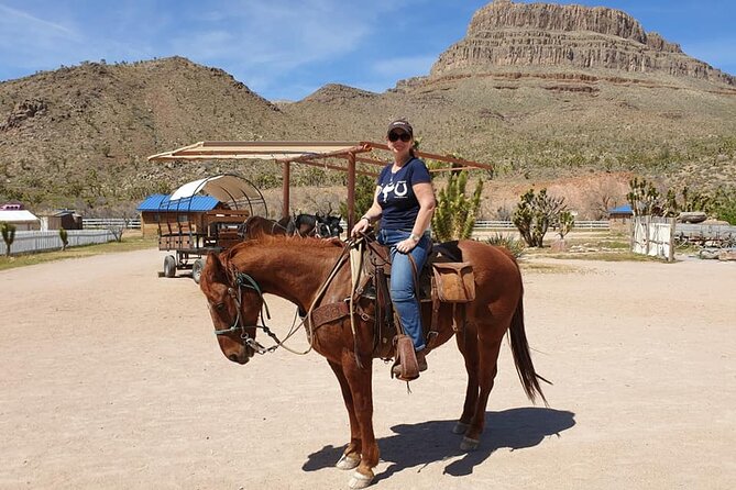 Full Day Grand Canyon Trip with Horseback Ride From Las Vegas - Buffalo, cowboys, and the ranch setting