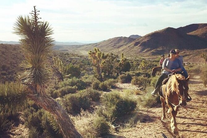 Full Day Grand Canyon Trip with Horseback Ride From Las Vegas - The location issue you need to understand