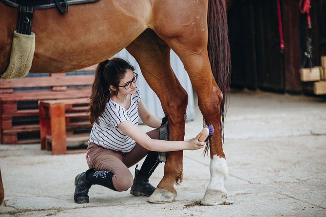 Full day Horse riding & Quad biking - Is the $424.17 price good value?