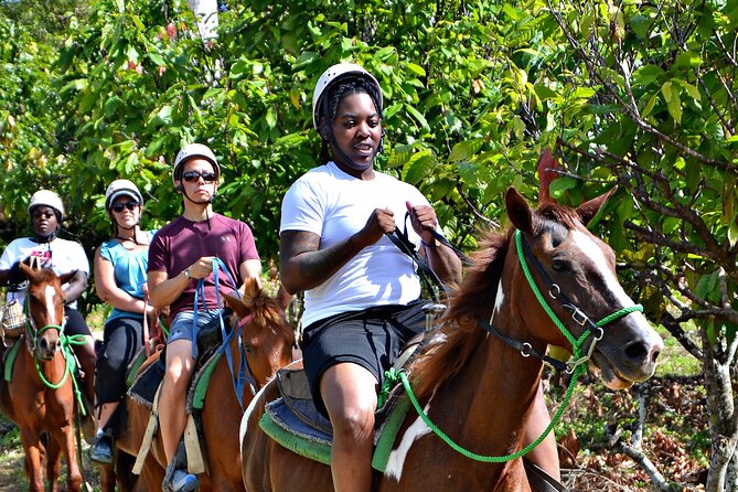 Full-Day La Hacienda Dune Buggy with Zipline & Horseback Activity - A Dominican Meal And A Working Home Visit