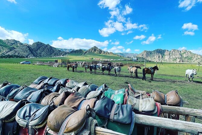 Full Day Private Tour in Terelj National Park with Horse Riding - A nomadic lunch inside a traditional ger