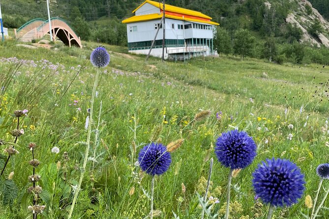 Full Day Private Tour in Terelj National Park with Horse Riding - The value of $130 for a private day out