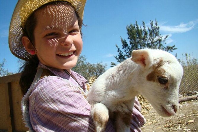 Full-Day Ranch Adventure and Horseback Riding Tour - Key points to know before you book