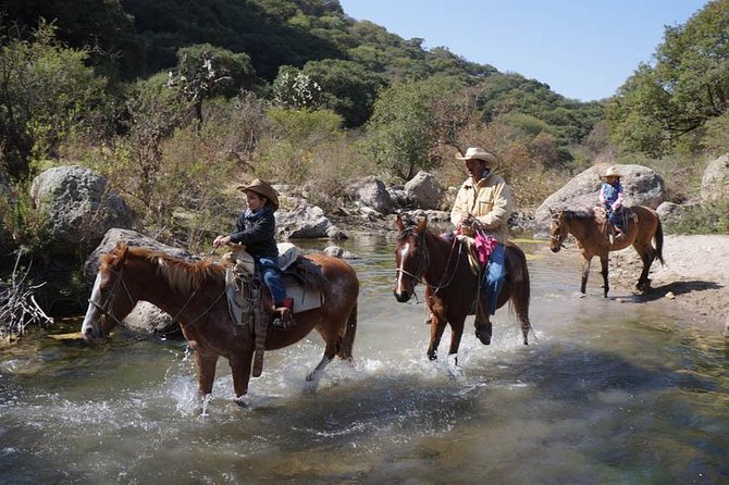 Full-Day Ranch Adventure and Horseback Riding Tour - More than horseback riding after lunch