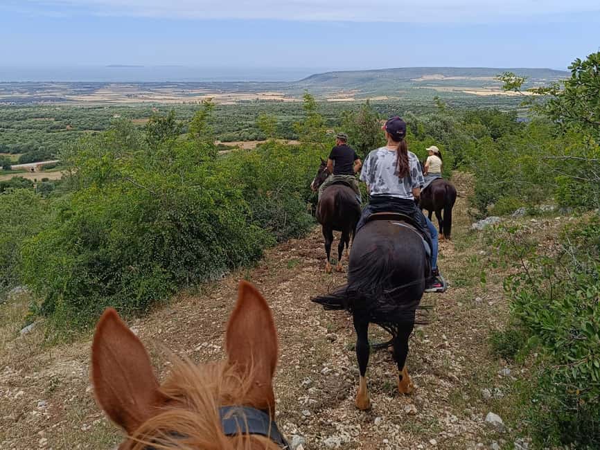Gargano National Park: a horseback ride - Should you book this Gargano horseback ride?